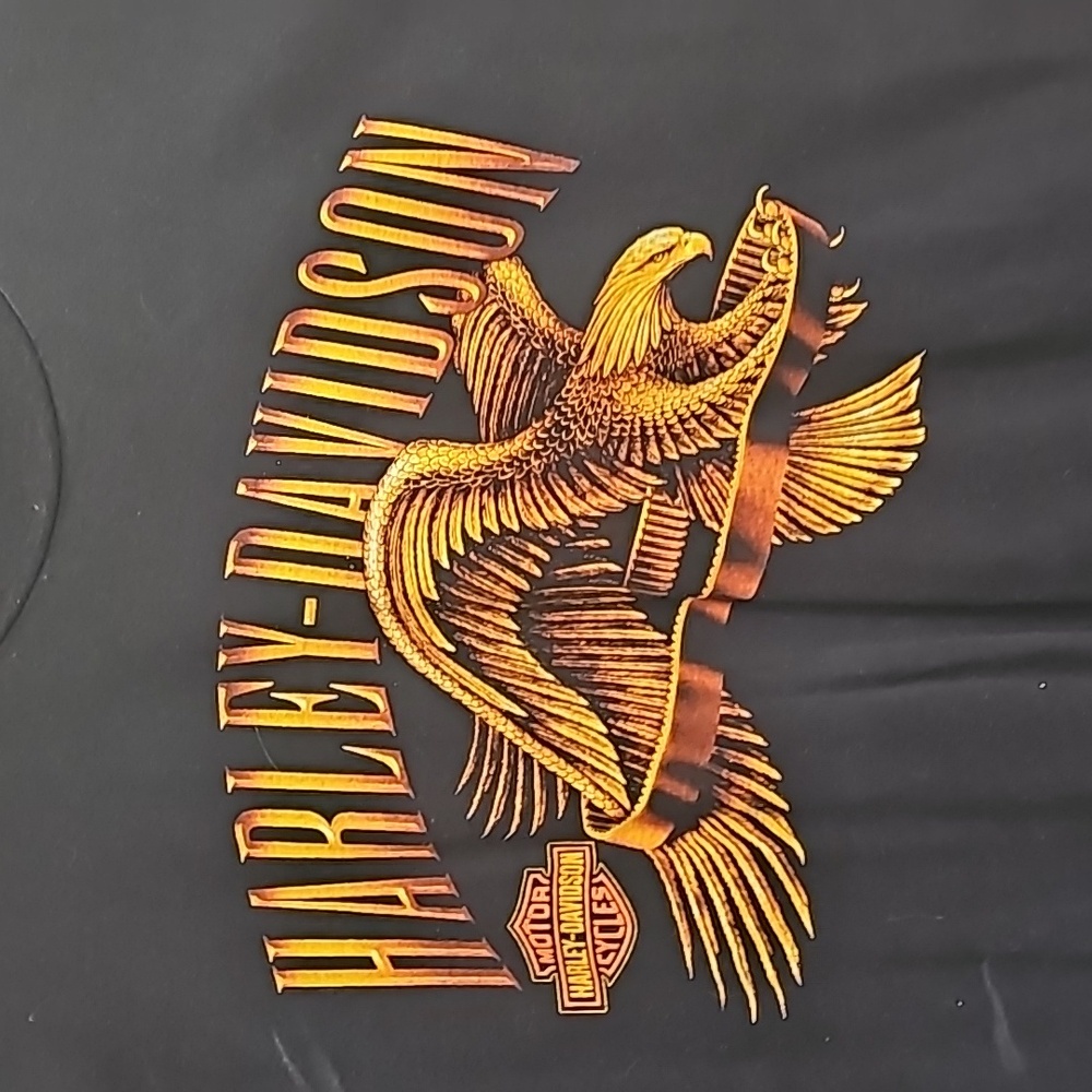 EUC Men's Harley Davidson T-shirt